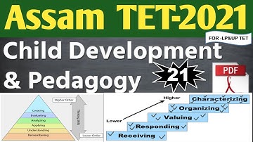 Assam TET 2021|Organising Teaching –Teaching as Planed Activity|Assam TET CDP 2021