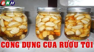 Công Dụng Của Rượu Tỏi: Thần Dược Có Tác Dụng Chữa Bệnh Hàng Nghìn Năm Tuổi - Ngọc Hân Bùi