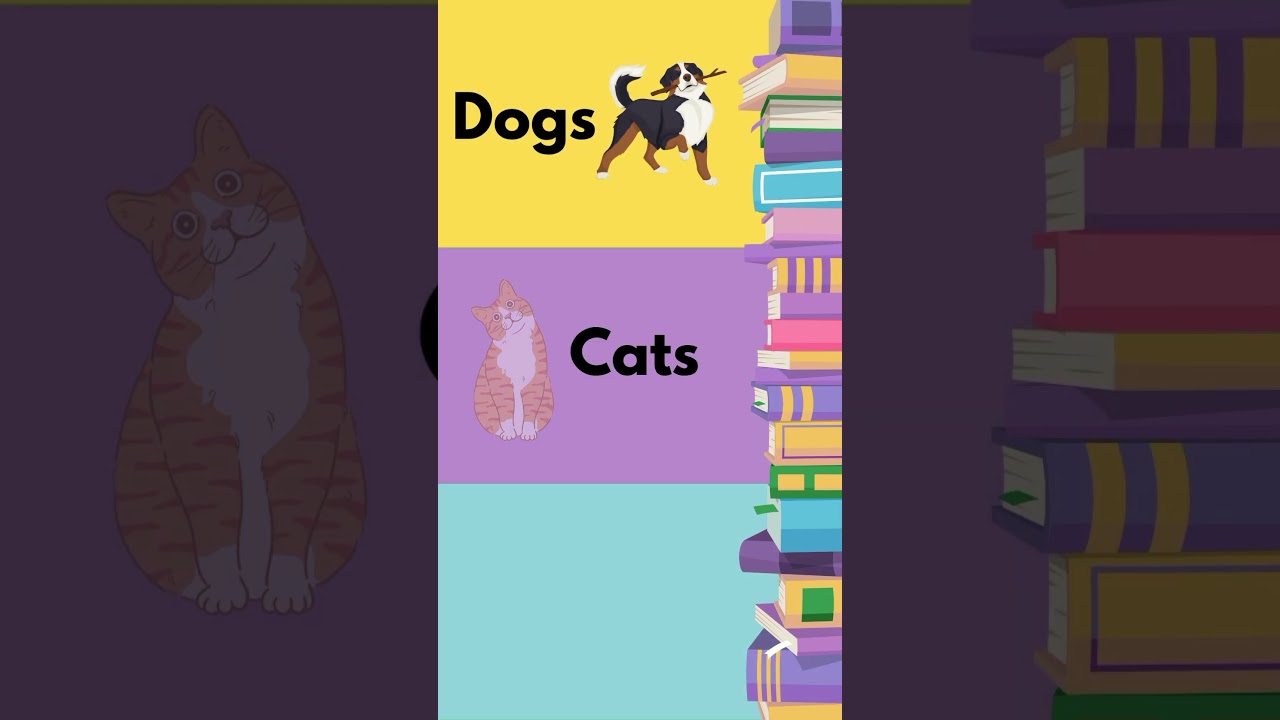 Organize Your Classroom Library 📚