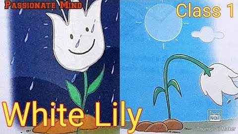 White Lily Chapter 10 Class 1 Collins English Alive Coursebook ‎‎@PassionateMind-AS
