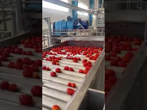  تشغيل معمل معجون طماطم في ليبيا