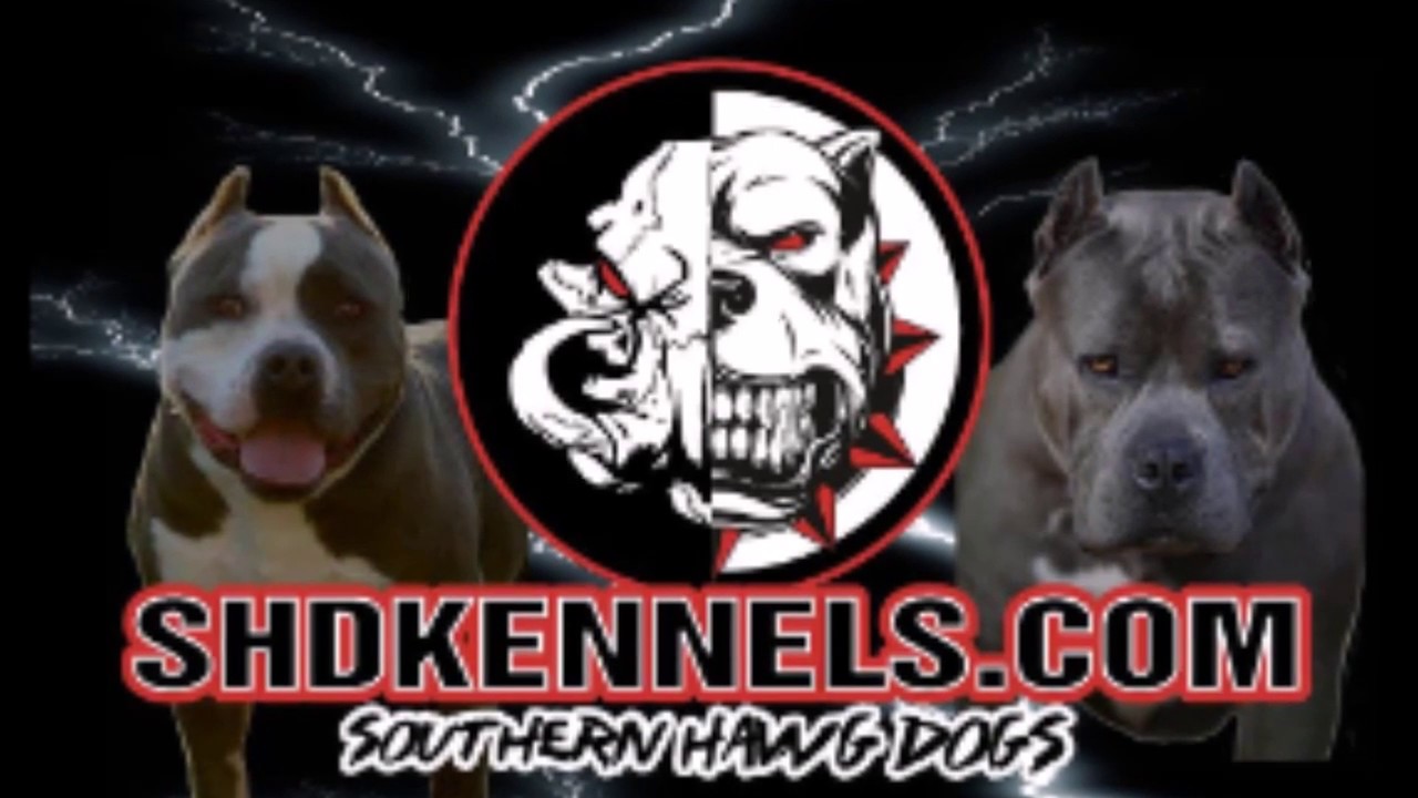 Shd Razor SHD Kennels with Raptor Razor Promo 2018 - YouTube