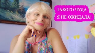 Вот такого я не ожидала! Произошло чудо!