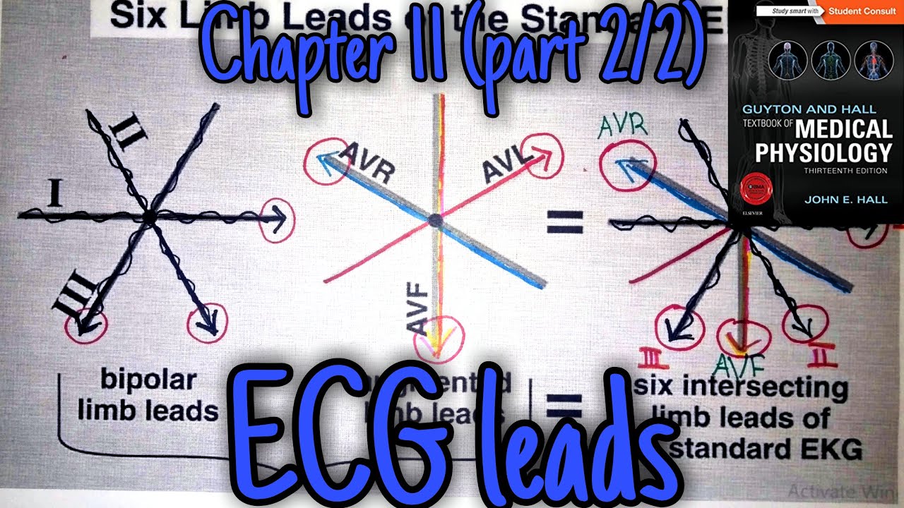 ECG leads - Chapter 11 (part 2/2) - Guyton and Hall text book of ...