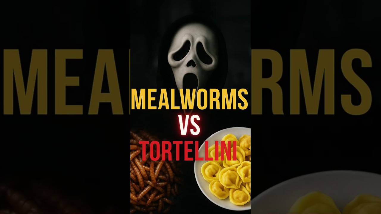 Mealworms vs Tortellini