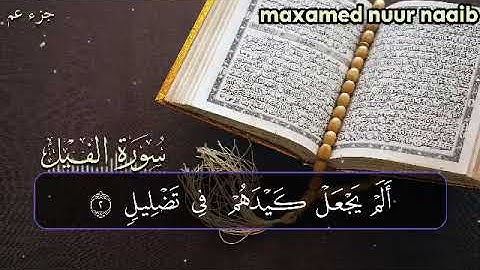 سورة الفيل محمد نور نائب