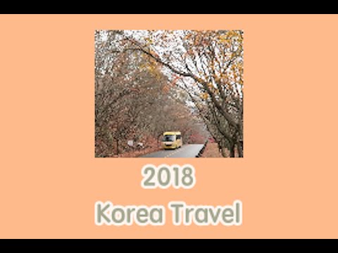 2018 South Korea Travel | 內臟山、藝聲的咖啡廳、在韓國最愛的提拉米蘇