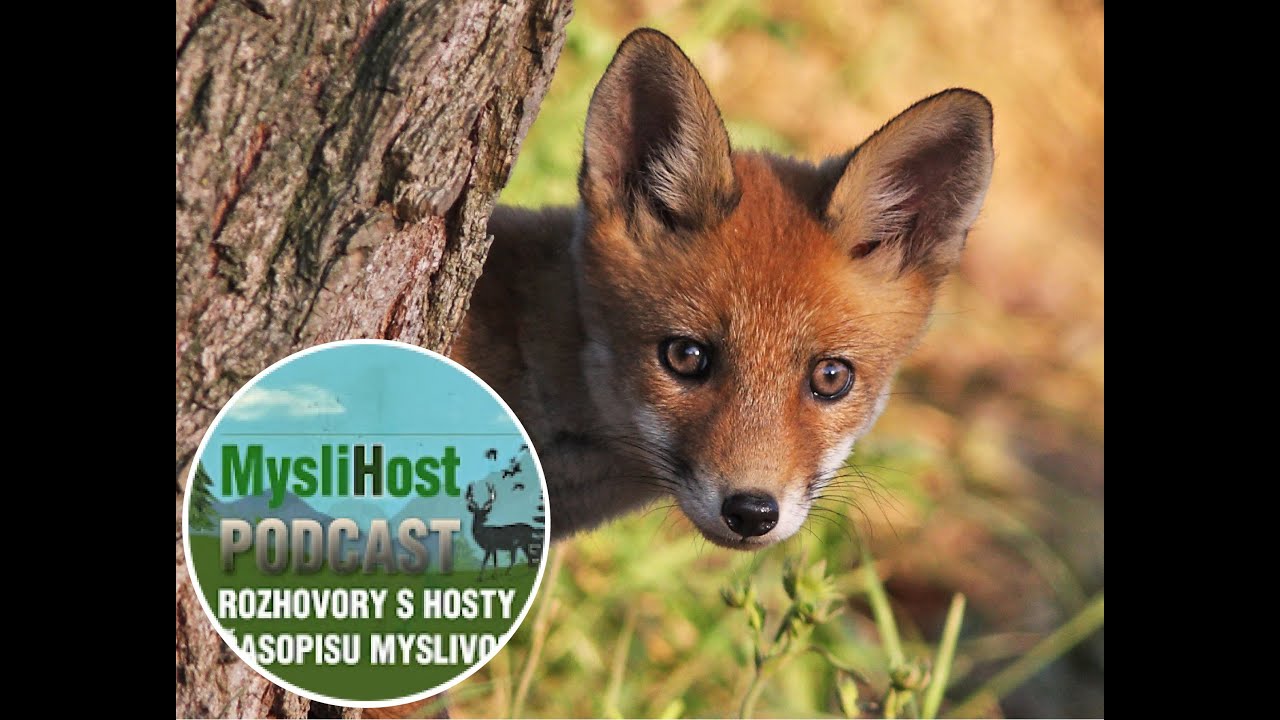 MysliHost 006 Vábení a lov lišek - Pavel Kumžák