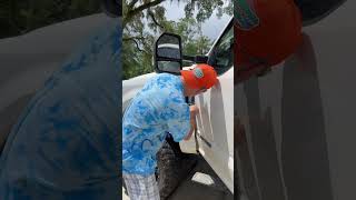 Clean sunroof drains #jmg8tor