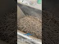 Biomass Pellet Machine • Eco & Profitable #woodpelletmachine