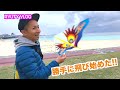 ドンキで買った7連凧で、ちむどんどん。ゲイラカイトと連凧、沖縄の海で検証するでしょ！Traditional Japanese Games【Ryuty Vlog】