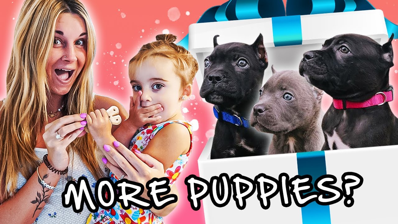 My Daughter Adopts Her DREAM PET x 3! (so cute)