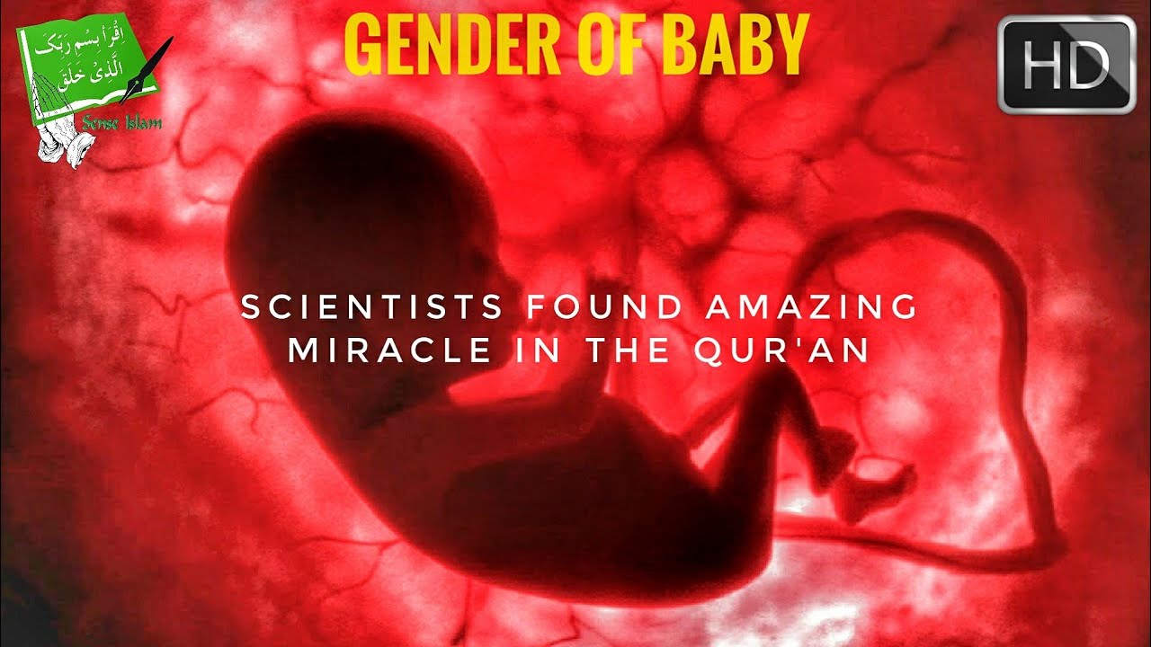 Scientists Finally Found Who Determines Gender of The Baby YouTube