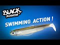 Fiiish  black minnow  swimming action  shore edition