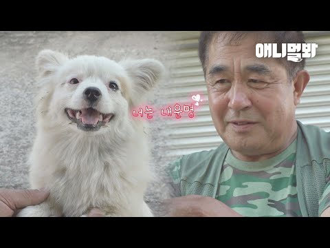 둘은 운명이었다ㅣDog That Made <strong>Patient</strong> <strong>With</strong> Terminal Cancer Live