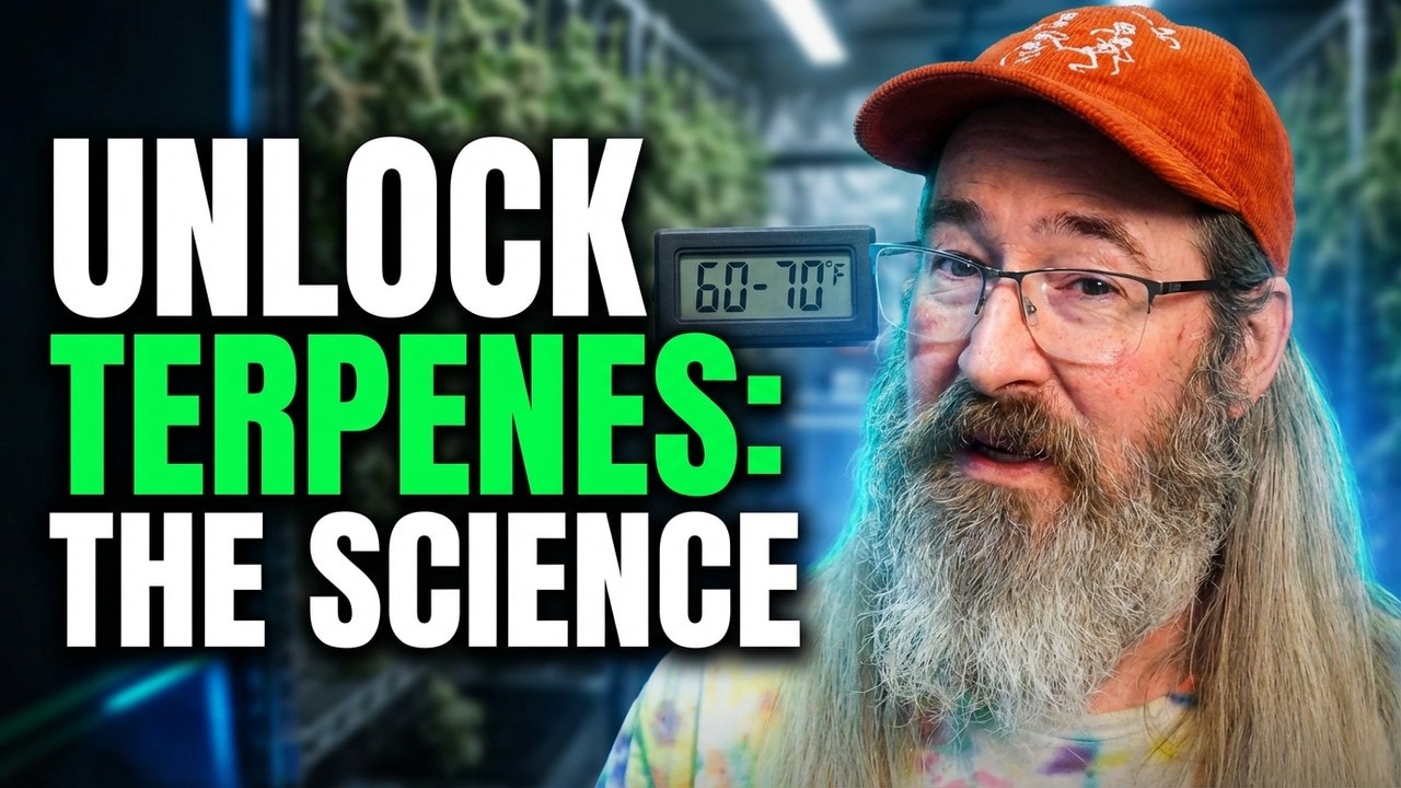 Идеальная сухость волос не достигается случайно: Vivosun VCure с Чадом Вестпортом