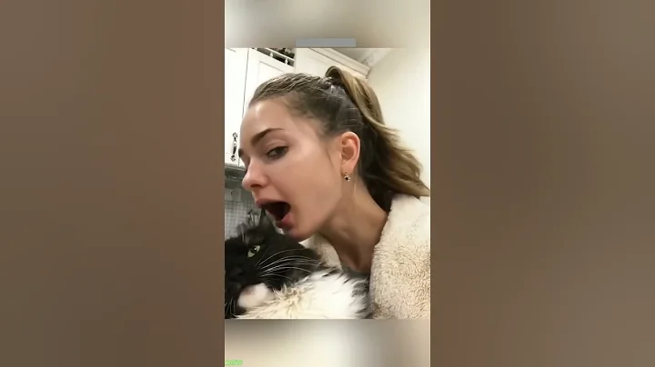 Video 6478441: cats meet kittens, cats kittens living, cat fight, cat kitten funny, hate cats meet, funny pets