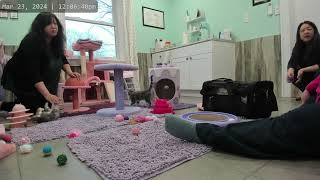 Kitkat Playroom: Kay and Elle Go Home! by Kitkat Playroom 1,367 views 1 month ago 21 minutes