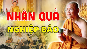 Đừng can thiệp vào NHÂN QUẢ Của Người Khác - BẠN SẼ HỐI HẬN VÌ ĐIỀU NÀY