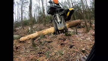 Doosan 225LL-5 Rotobec Grapple Saw Timelapse
