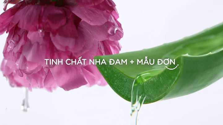 P/S NHA DAM - THƠM MÁT DÀI LÂU
