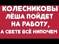 Колесниковы//Леша пойдет на работу, а Свете все нипочем// Обзор видео//