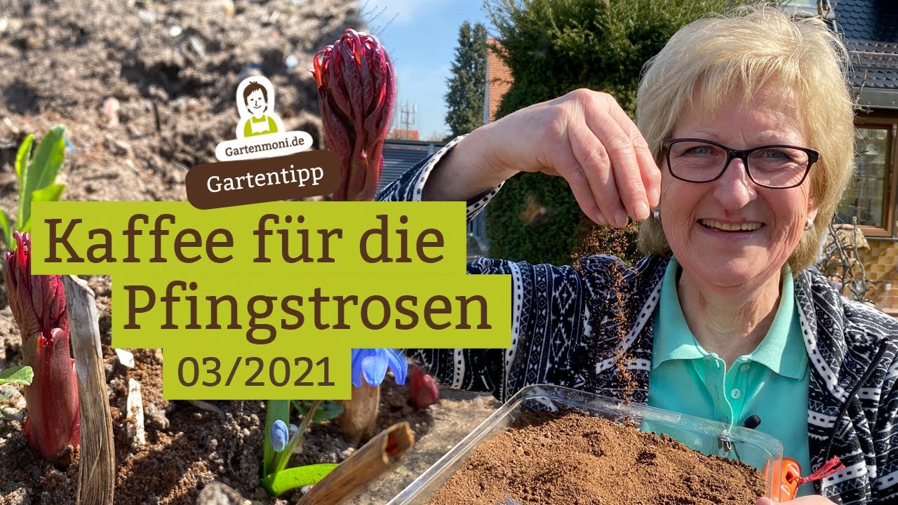 hanfpflanze natürlich düngen Cannabis Dünger - Mineralischer NPK Flüssigdünger mit Stickstoff main image 1