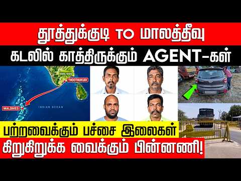 கோடிகள் புரளும் பச்சை இலை ஆயில்கள்.. கடலில் காத்திருக்கும் Agent-கள்! Thoothukudi | NakkheeranKalam