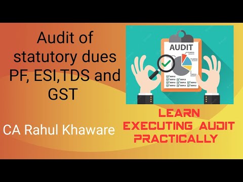 Audit of statutory dues l TDS l Provided fund l ESI I GST