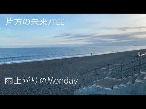 2020.5.26【小山啓介ツイキャス配信】片方の未来/TEE
