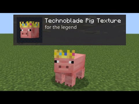 Technoblade Pig Texture Add-on For Minecraft Bedrock, this is the best I can do.