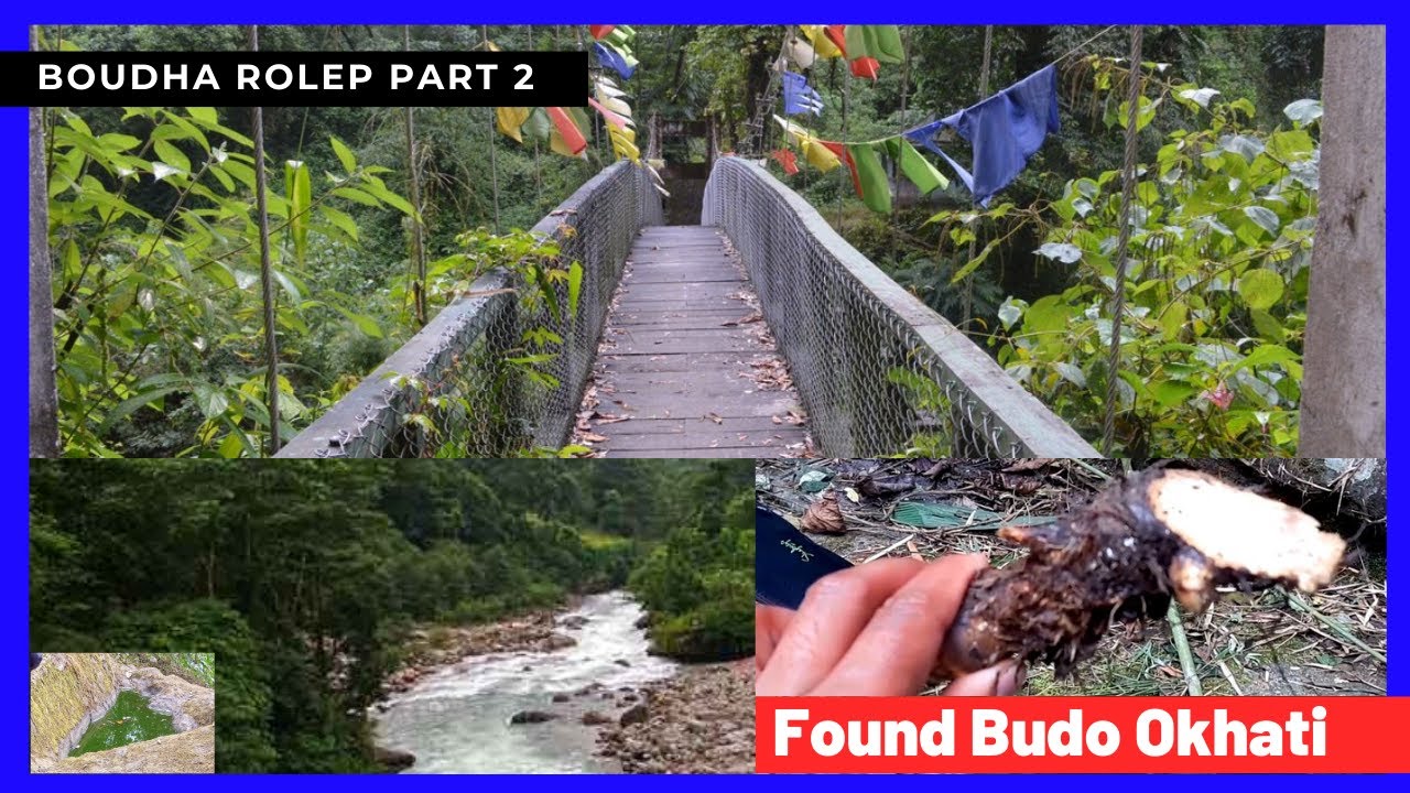 Amazing Hanging Bridge of Rolep (Boudha) & more (Medicinal Plant) -Part 2