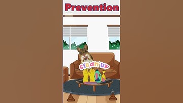 Hantavirus: A cute and informative video about deer mouse poop