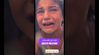 #palestine #فلسطين #الدعاء #italy