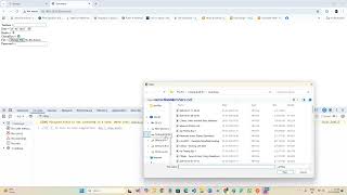 Api Testing    Basics of Javascript