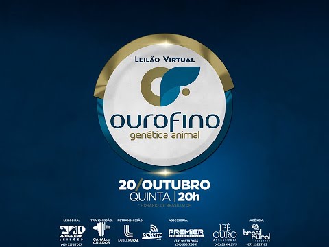 Lote 24   Oportuna OuroFino   OURO 3712   Sensata OuroFino   OURO 3743 Copy