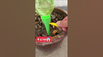 🌿 #หัวหยดรดน้ำอัตโนมัติ #รดน้ำต้นไม้   #รดน้ำอัตโนมัติ