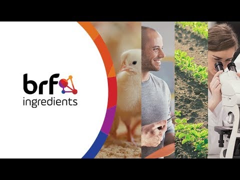 BRF Ingredients Institutional - English Version