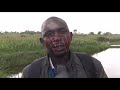Mayuge Police Are Hunting For A Man Who Poisoned Five Fish Farms Mayuge Police Are Hunting For A Man Who Poisoned Five Fish Farms