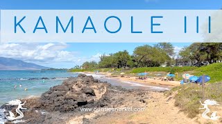 Kamaole Beach Park III - Auntie Snorkel's Maui Beach Guides