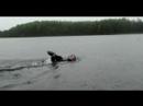 Alaska Extreme Swimming