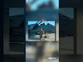 🚗Un atropello con fuga dejara a un hombre en estado crítico en Austin.🔍🏥 | FOX 7 Español