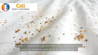 Bugs That Resemble Bed Bugs: How to Identify and Differentiate Them