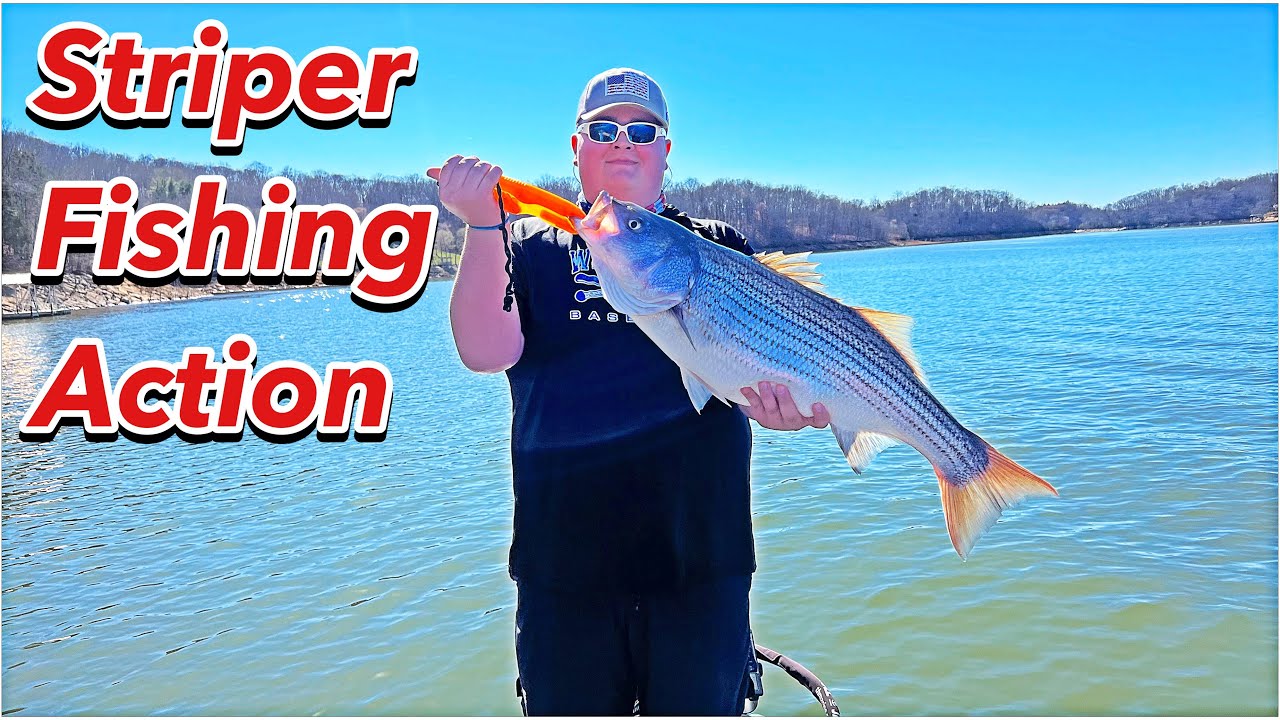 Amazing Day Of Striper Fishing YouTube