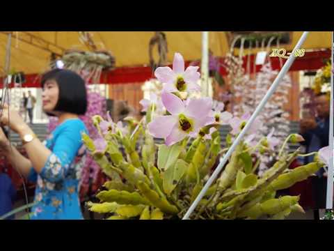 Hoàng thảo Trần Tuấn - của 