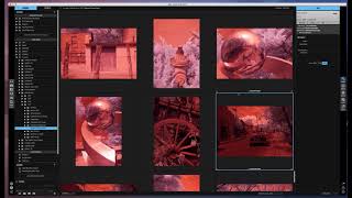 Using On1 to Browse. Camera Raw to Process screenshot 4