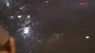 Fenerbahçeliler - 12 Mayıs 2012