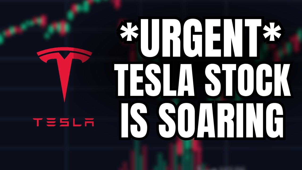 *URGENT* Tesla Stock is Back.. (Lots of Breaking News) - YouTube