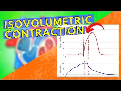 Video: Izometriskās kontrakcijas fāzes laikā ventrikulārais tilpums?