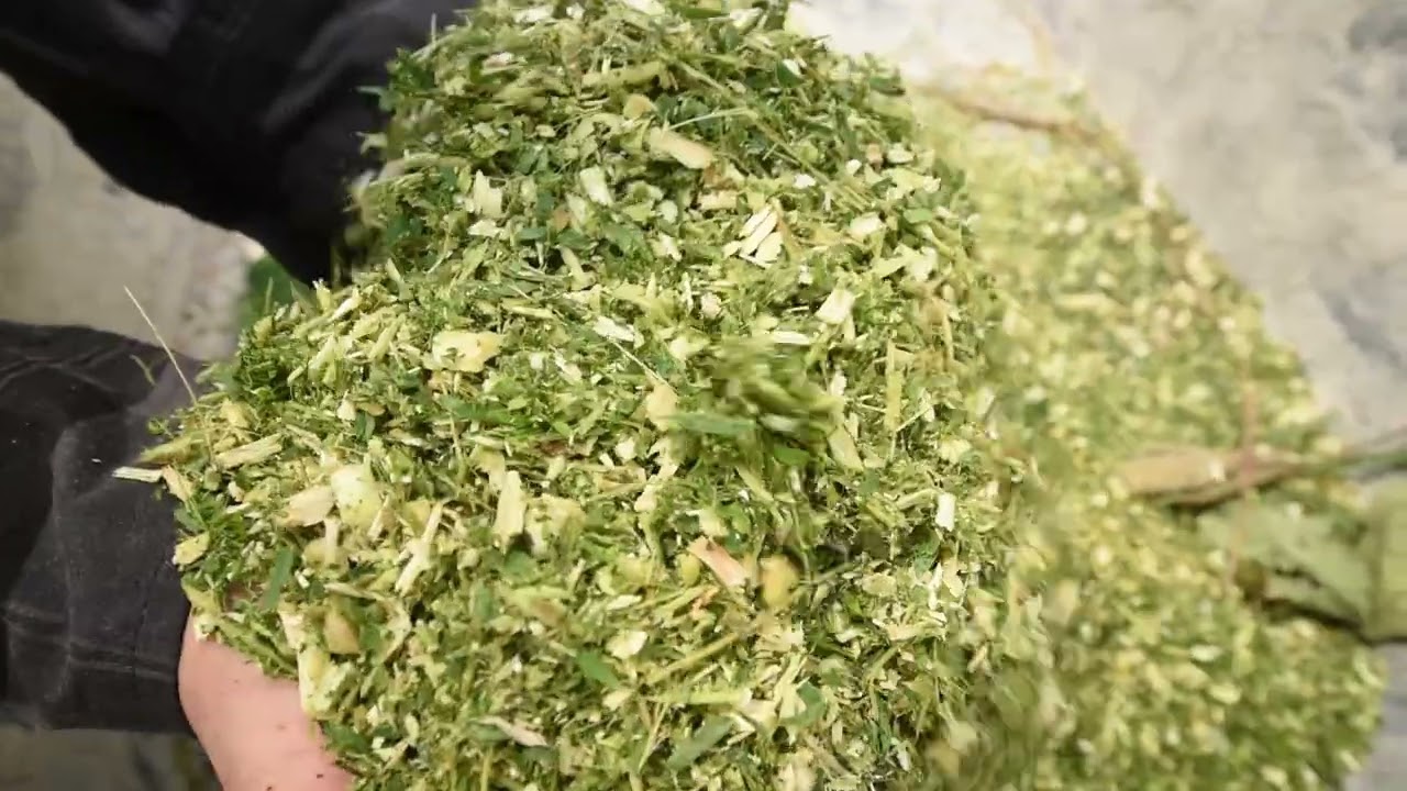 วิธีทำดินขุยไผ่